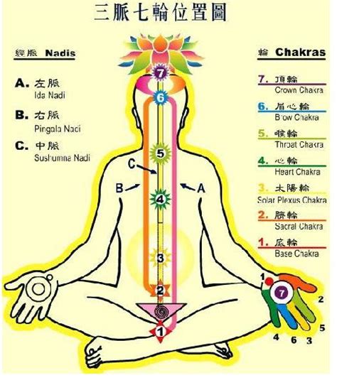 七輪易數免費|【七輪易數免費】免費解答所有疑問！《生活》七輪易數超。